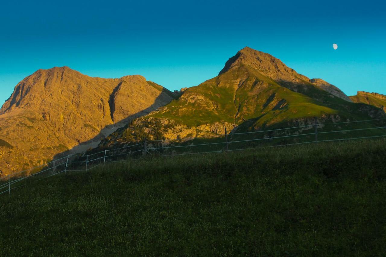 Alpenappartement Bergkoenig Warth  Екстер'єр фото